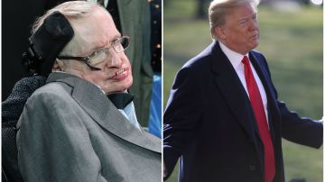 Hawking y Trump