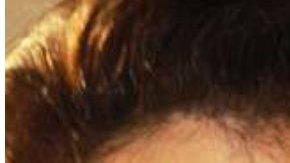 Selena y Luis Miguel