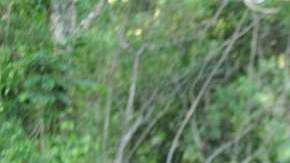 Tener seguro ya no será una carga.