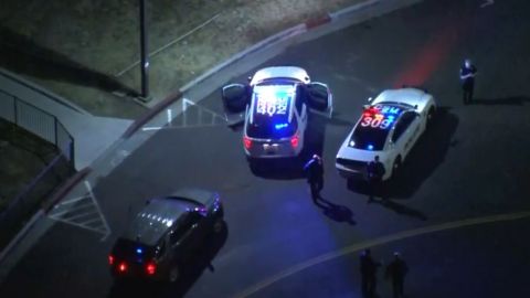 La policía de CSULA y el LAPD buscaron al animal, sin éxito.