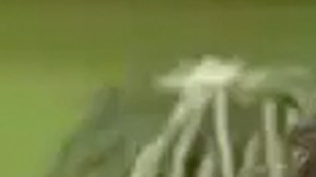 Cynthia Urías, conductora de Televisa, fue quién confirmó haber visto a Atala Sarmiento en Televisa