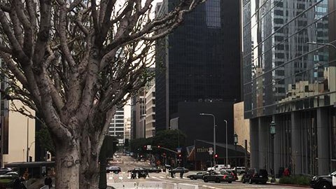 No está confirmado, pero el despliegue de seguridad hace pensar que Trump pasara ahí la noche.