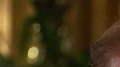 Kim asegura que quiere hablar de la desnuclearización, pero no está claro que comparta la interpretación de Trump.