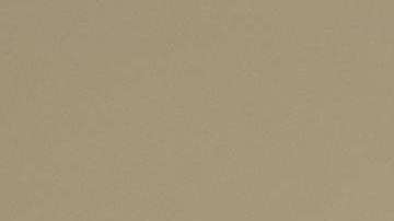 Abogados "pro bono" ayudan a inmigrantes a llenar el formulario N-400.