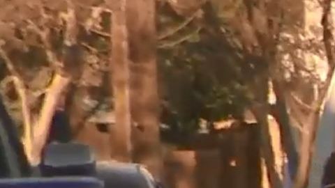 Las autoridades trasladaron el cuerpo de la víctima.