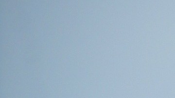 Tampa es de los sitios más inseguros para el tránsito de indocumentados.