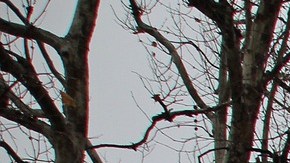 La tormenta también ha traído cielos grises y bajas temperaturas