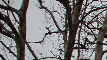 La tormenta también ha traído cielos grises y bajas temperaturas