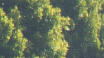 Algunas de las calles más emblemáticas de Los Ángeles serán invadidas por unos 24,000 corredores este domingo