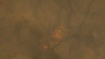 Harry Burkhart trató de evadir su responsabilidad diciendo que era enfermo mental