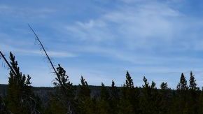 Yellowstone