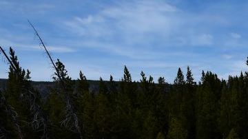Yellowstone