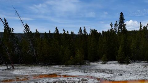 Yellowstone