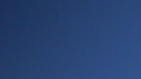 US-ECONOMY-MIGRANTS-FARMING