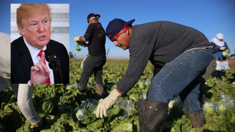 US-ECONOMY-MIGRANTS-FARMING