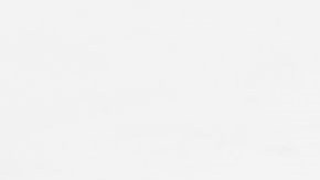 Los hechos ocurrieron en el centro de Memphis, Tennessee