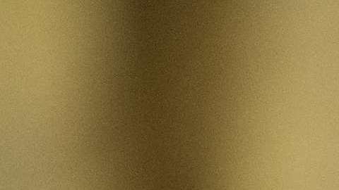 Una vez más el presidente Trump queda en ridículo gracias al pasado migratorio de su familia