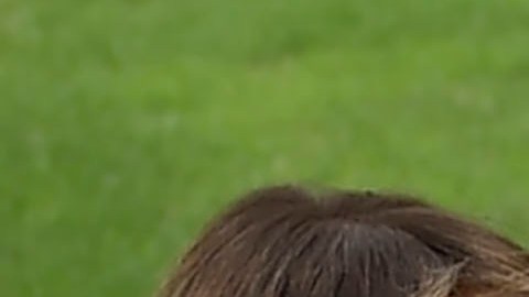 Trump firma una breve tregua con la prensa y acude a una gala de periodistas