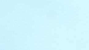 El grupo apoyó la candidatura de Trump.