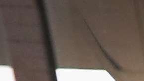 Se aprobarían hasta 200,00 visas en total.