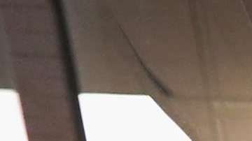 Se aprobarían hasta 200,00 visas en total.