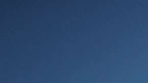 !7 personas murieron en la masacre en la escuela Marjory Stoneman Douglas.