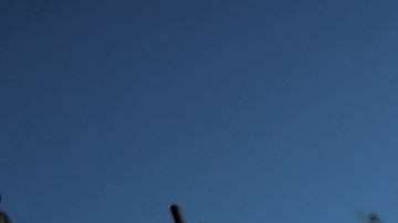 !7 personas murieron en la masacre en la escuela Marjory Stoneman Douglas.