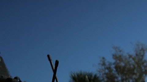 !7 personas murieron en la masacre en la escuela Marjory Stoneman Douglas.