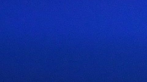 Neymar estará de regreso con el PSG entre dos o tres semanas