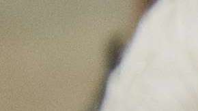 Ftografía de archivo de una de las múltiples muestras de apoyo a los jóvenes "soñadores".