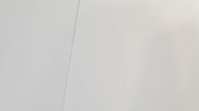 Salma Hayek en los Independent Spirit Awards.