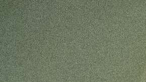 John Kelly y la pareja tienen serias diferencias, según reportes.