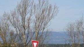 La policía lanzó un operativo especial en la zona.