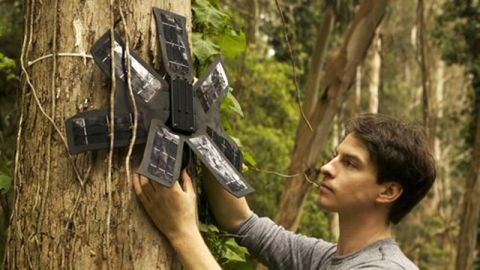 En esta lucha también participa la organización Rainforest Connection.