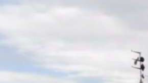 La Guardia Costera reconoció que necesita ayuda de México para atacar al narco.