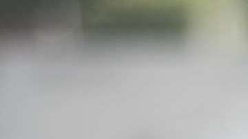 Comprar un auto y mejorar su precio es posible.