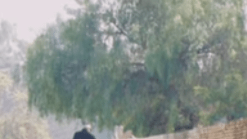 "Juntos, tenemos una oportunidad real de sacar a nuestros vecinos sin hogar de las calles para siempre", dijo la presidenta de United Way