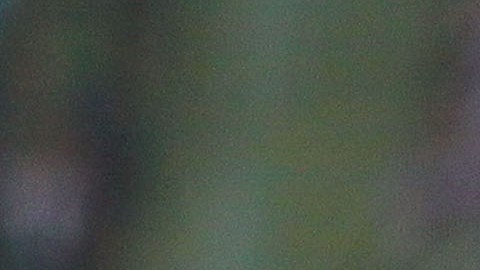 Morelia recibe a Chivas en duelo de la jornada 13 de la Liga MX