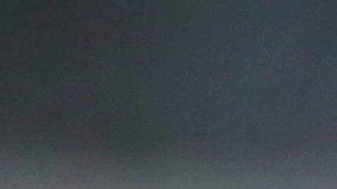 Javier "Chicharito" Hernández se declaró a favor del feminismo