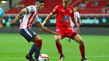 Lobos BUAP recibe a Chivas en duelo de la jornada11 de la Liga MX