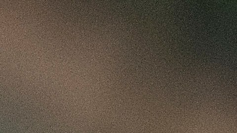 Javier "Chicharito" Hernández podría reaparecer con el Tri ante Croacia