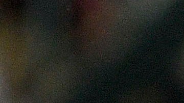 Las Águilas del América recibirán al Tauto de Panamá, en la Concachampions