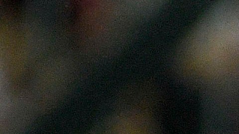 Las Águilas del América recibirán al Tauto de Panamá, en la Concachampions