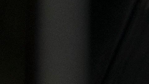 Andrés Guardado se manifestó en contra de las rotaciones de Juan Carlos Osorio