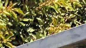 Max Bretos, de sangre cubana, es el hombre que relatará, en inglés y español, el nacimiento del LAFC.