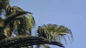 De izq. a der. Ricardo Ramírez, José "Pepe" Rojas y Rosario Castañeda, mexicanos que corrieron el Maratón de Los Ángeles 2018.