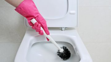 Para prevenir la formación de moho y sarro, el interior de la taza del inodoro debe lavarse y tallarse semanalmente con un cepillo de cerdas duras.