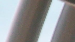 Lily Estefan recibe el día de su cumpleaños la vista inesperada de Pitbull