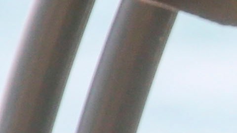 Lily Estefan recibe el día de su cumpleaños la vista inesperada de Pitbull