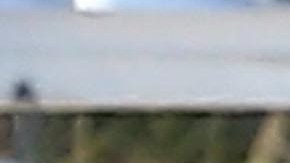 Maluma y Prince Royce pasan tiempo juntos en Miami, Florida.